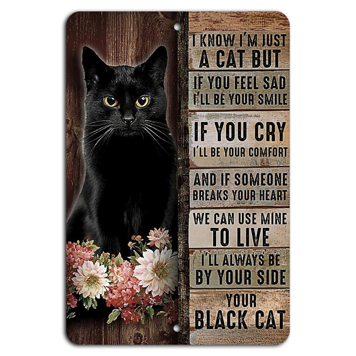 I Know I'm Just a Cat I'll Be Your Comfort Aluminum Sign — product artwork