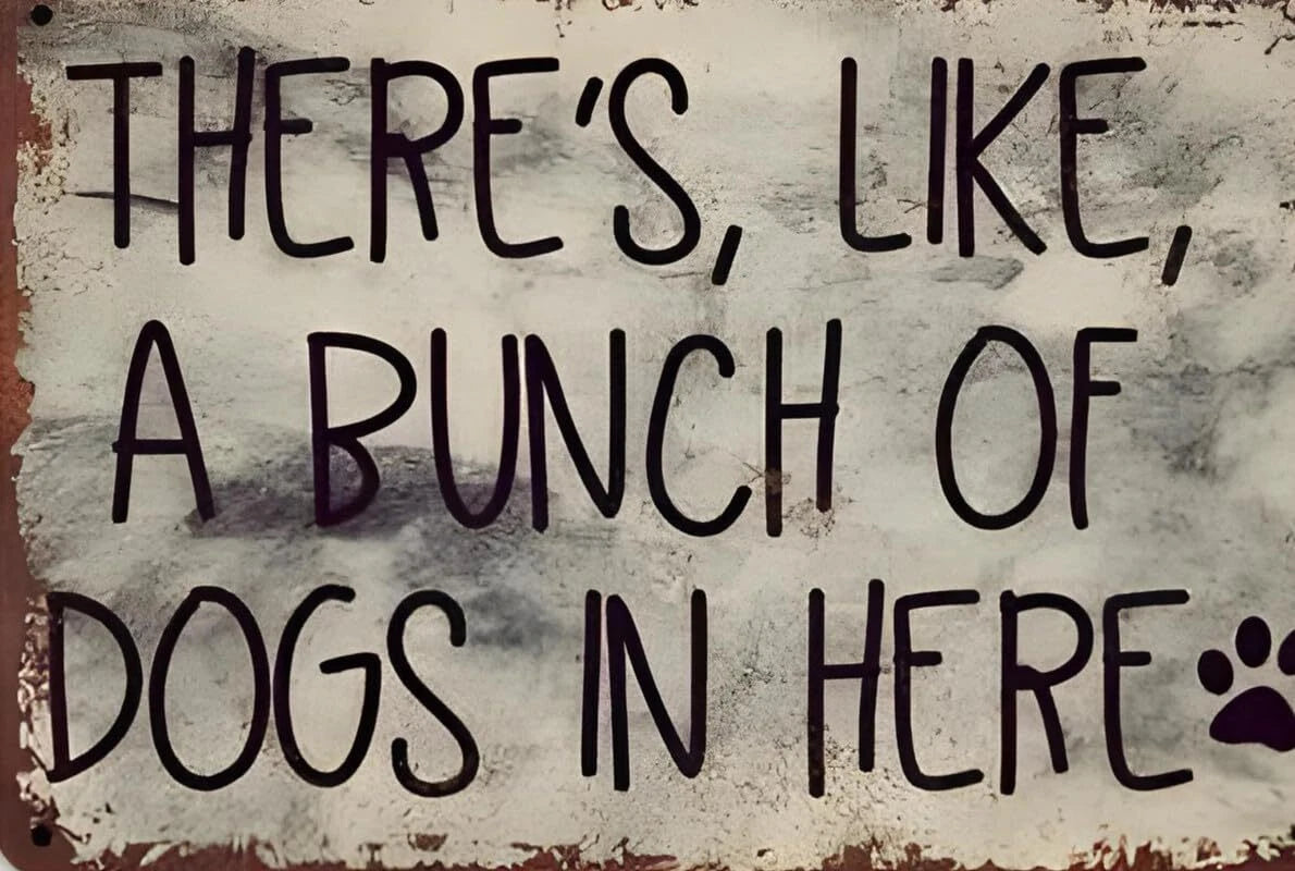 There's Like a Bunch of Dogs in Here Funny Aluminum Sign — product artwork