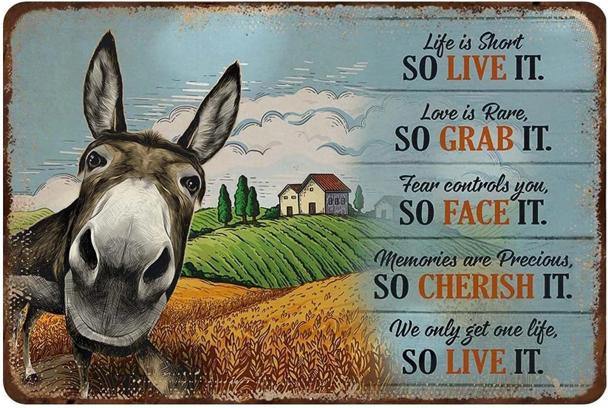 Tin Retro Donkey Life Is Short So Live It Love Is Rare Aluminum Sign — product artwork