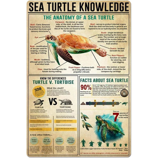 Vintage Sea Turtle Multipurpose Wall Art Aluminum Sign — product artwork