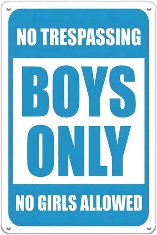 Boys Room Boys Only No Trespassing Funny Aluminum Sign — product artwork