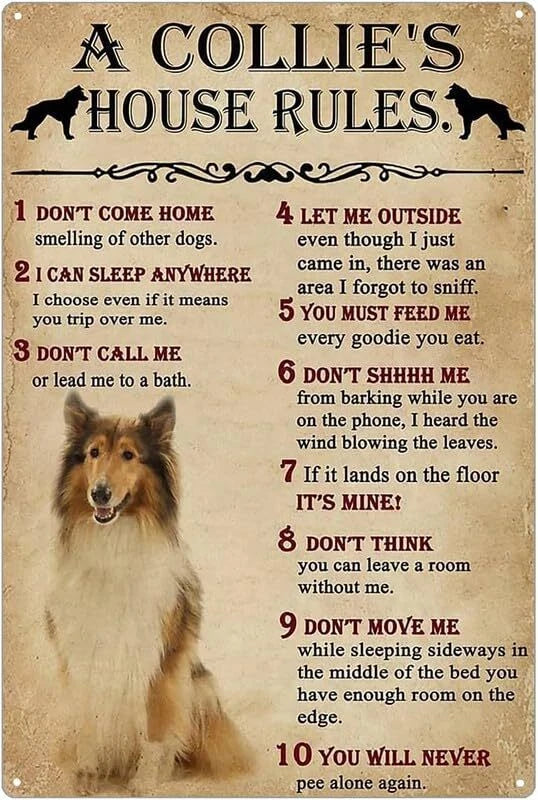 A Collie's House Rules Funny Aluminum Sign — product artwork
