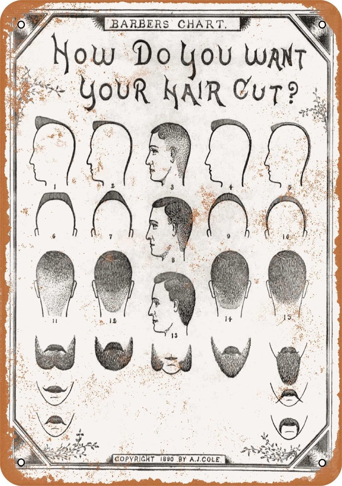 Barbers Chart How Do You Want Your Hair Cut Aluminum Sign — product artwork