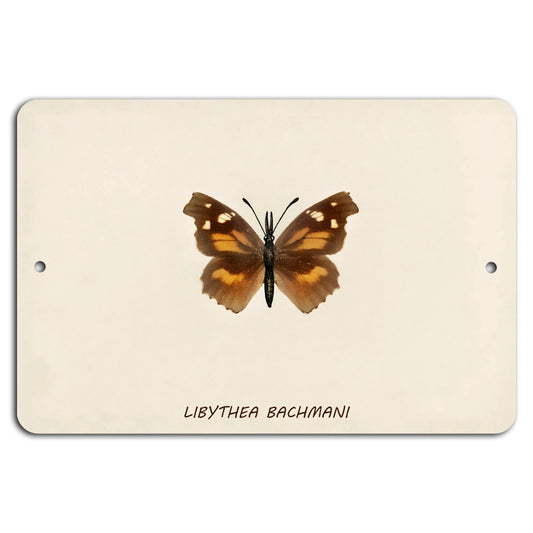 Butterfly Libythea Bachmani Vintage Rustic Aluminum Sign — product artwork