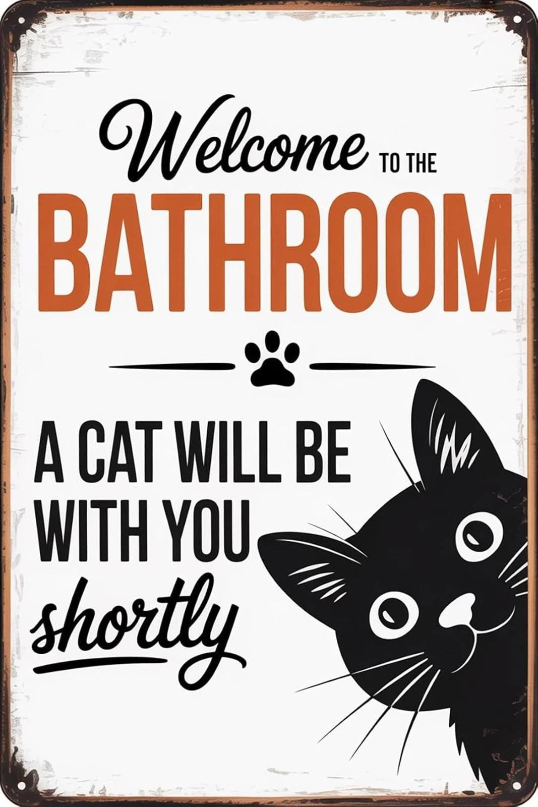 Bathroom Funny Vintage Cat Aluminum Sign — product artwork