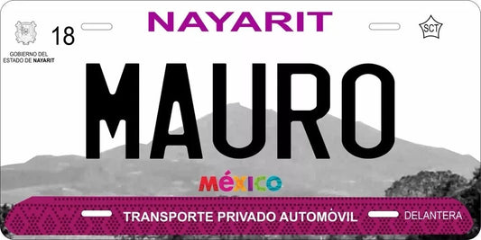 Nayarit 2017 Personalized Replica License Plate — product artwork