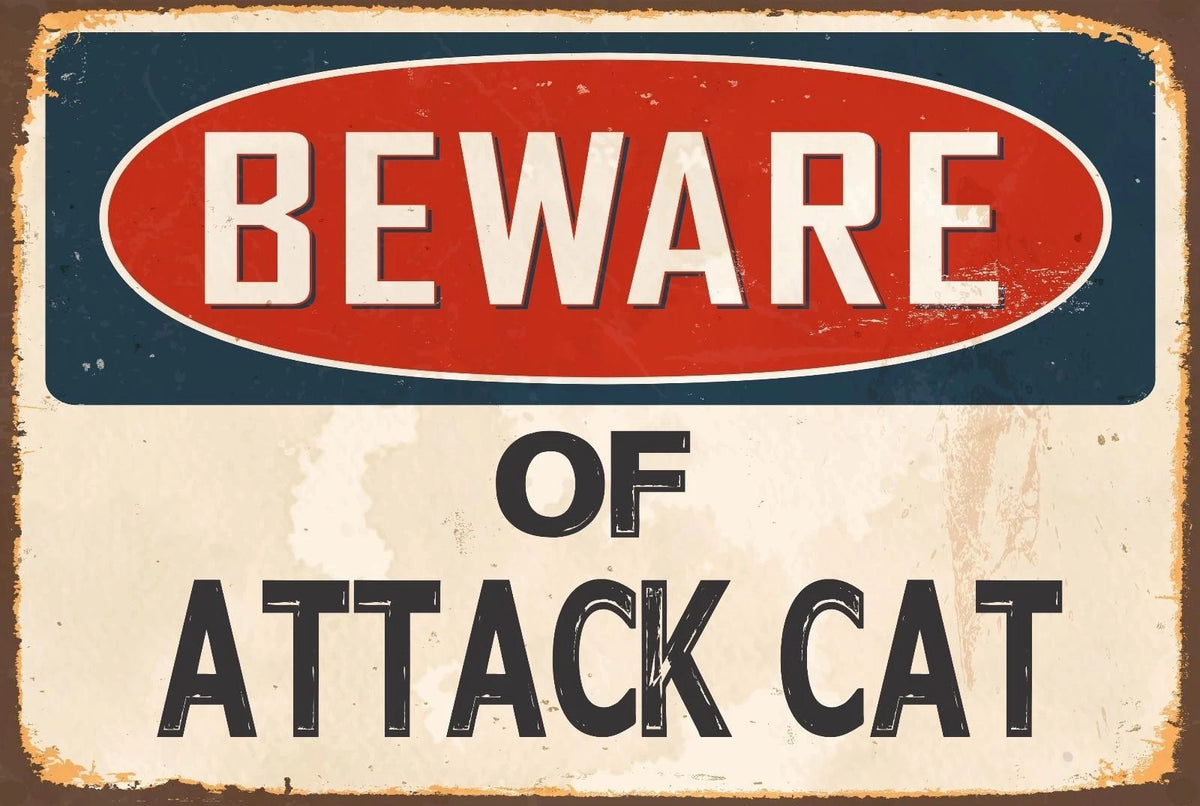 Beware of Attack Cat Aluminum Sign — product artwork