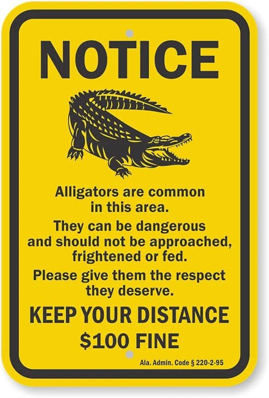 Warning Alligators Are Common in Area Aluminum Sign — product artwork