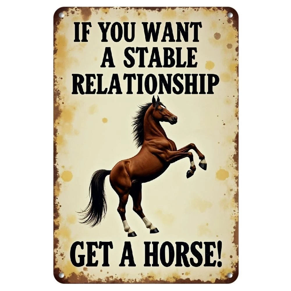 Vintage If You Want Stable Relationship Funny Aluminum Sign — product artwork