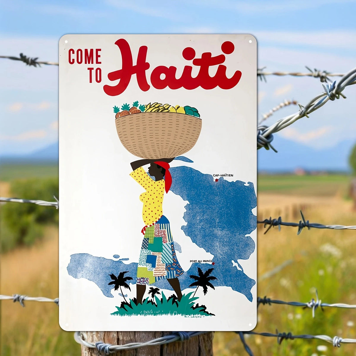 2D Plane Haiti Caribbean Travel Destination Funny Aluminum Sign — product artwork