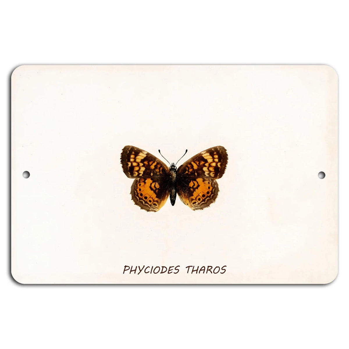Butterfly Phyciodes Tharos Aluminum Sign — product artwork