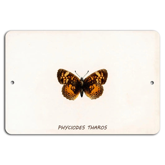 Butterfly Phyciodes Tharos Aluminum Sign — product artwork