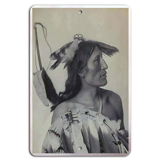 Native American Woman Feather Dress Portrait Aluminum Sign — product artwork