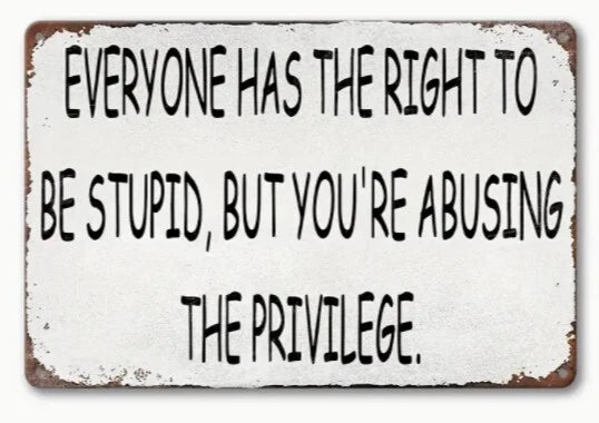 Everyone Has the Right to Be Stupid Aluminum Sign — product artwork