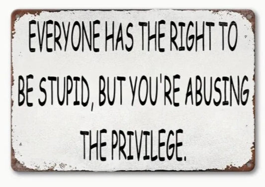 Everyone Has the Right to Be Stupid Aluminum Sign — product artwork