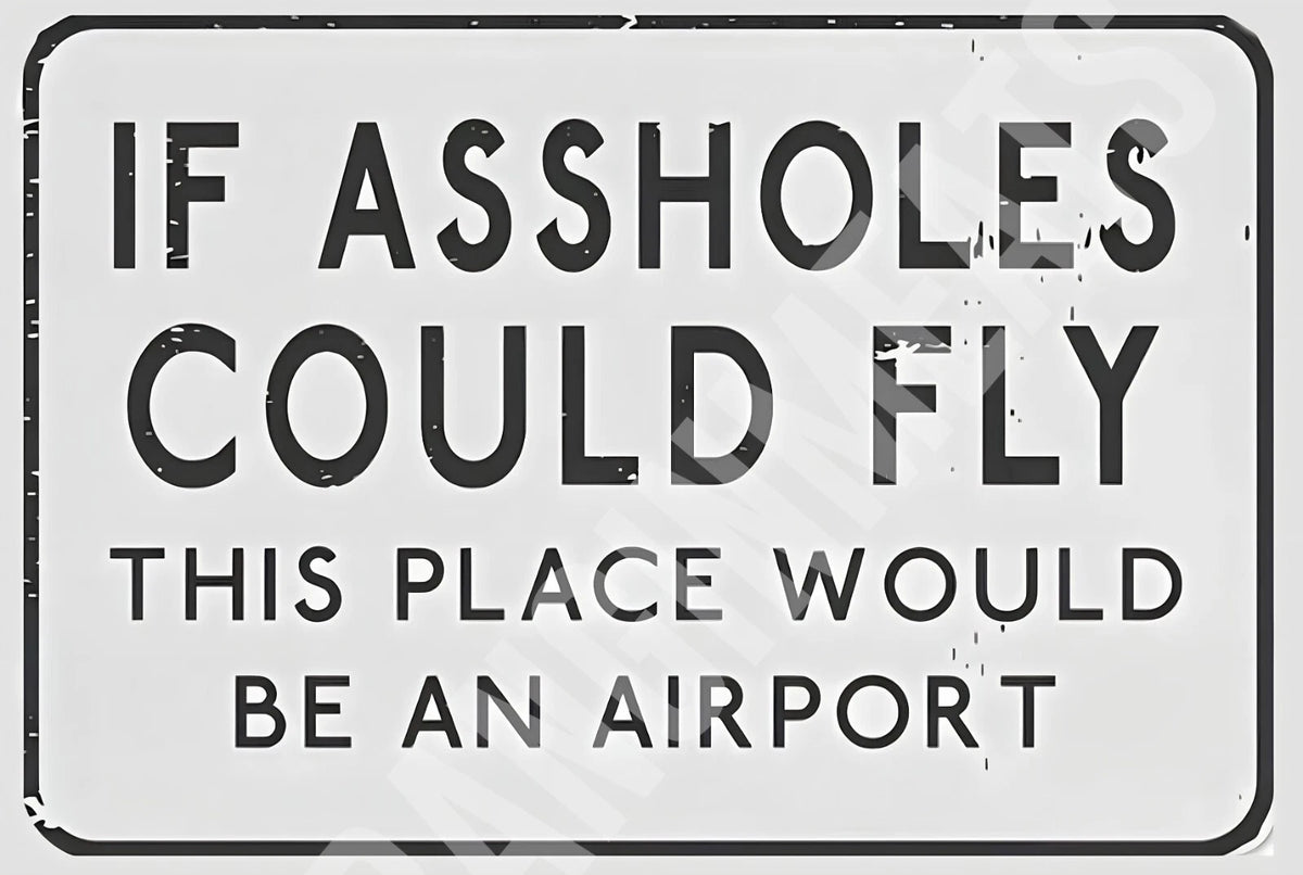 If A$$holes Could Fly This Place Airport Funny Aluminum Sign — product artwork