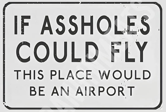 If A$$holes Could Fly This Place Airport Funny Aluminum Sign — product artwork