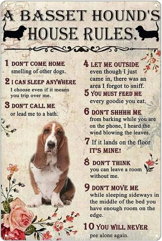 Basset Hound's House Rules Funny Aluminum Sign — product artwork