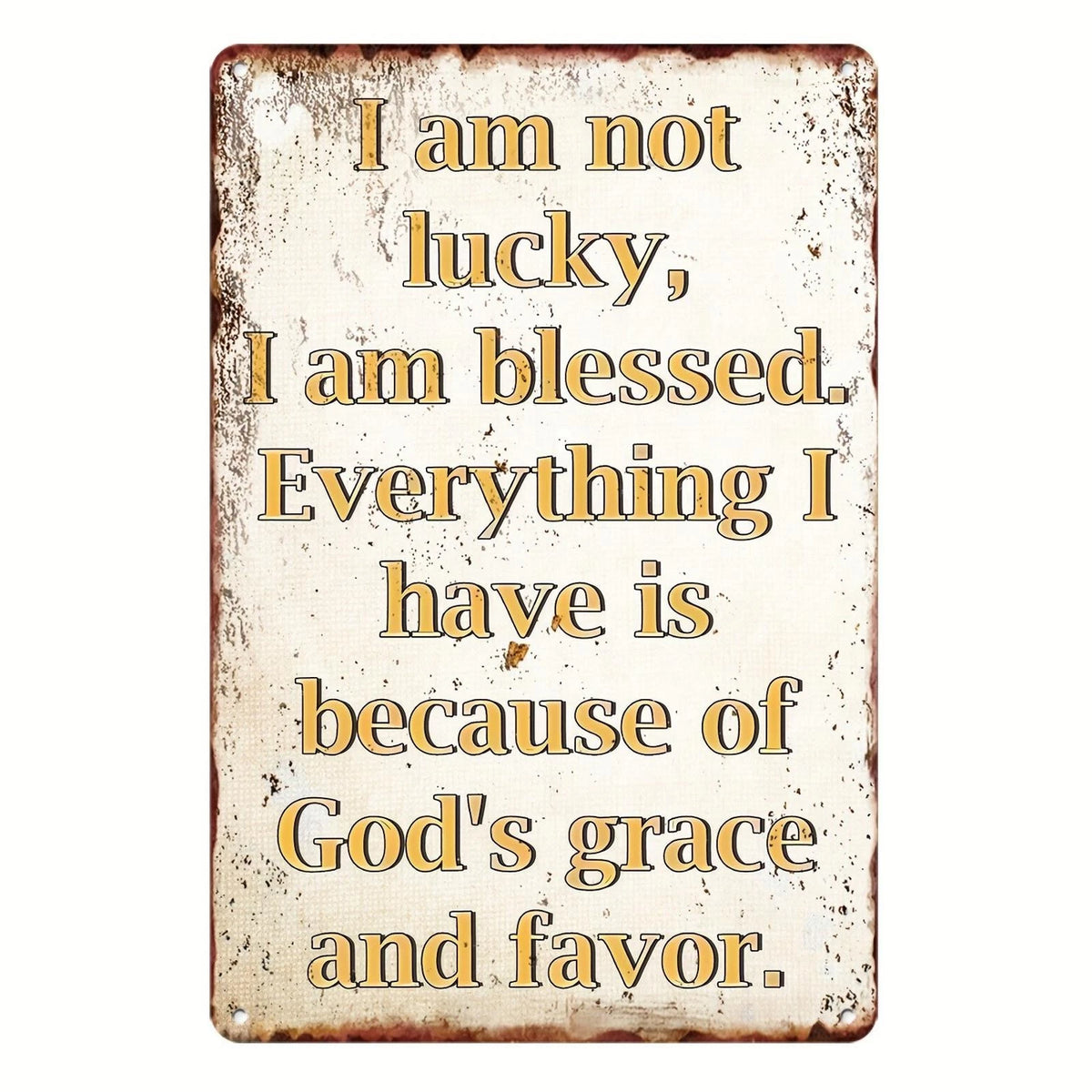Inspirational I Am Blessed Vintage Funny Aluminum Sign — product artwork