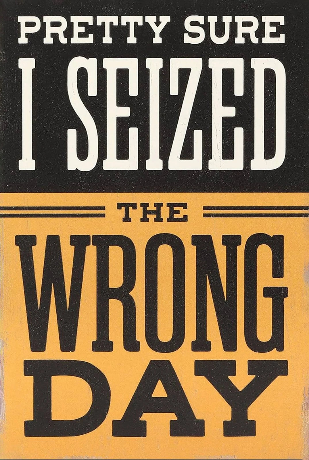Pretty Sure I Seized the Wrong Day Funny Aluminum Sign — product artwork