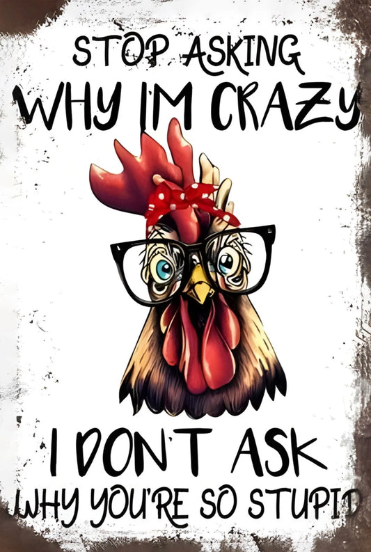 Stop Asking Why I'm Crazy Funny Aluminum Sign — product artwork