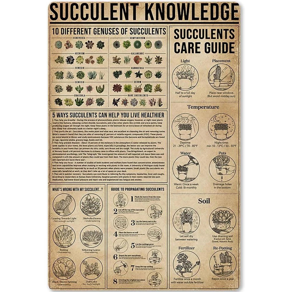 Succulent Care Vintage Plant ID Watering Tips Aluminum Sign — product artwork