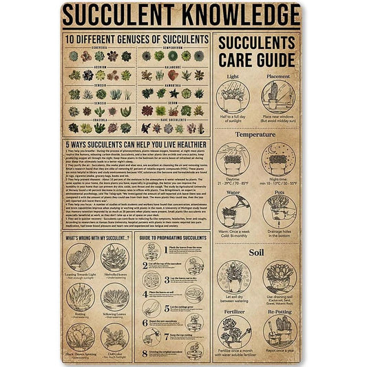 Succulent Care Vintage Plant ID Watering Tips Aluminum Sign — product artwork