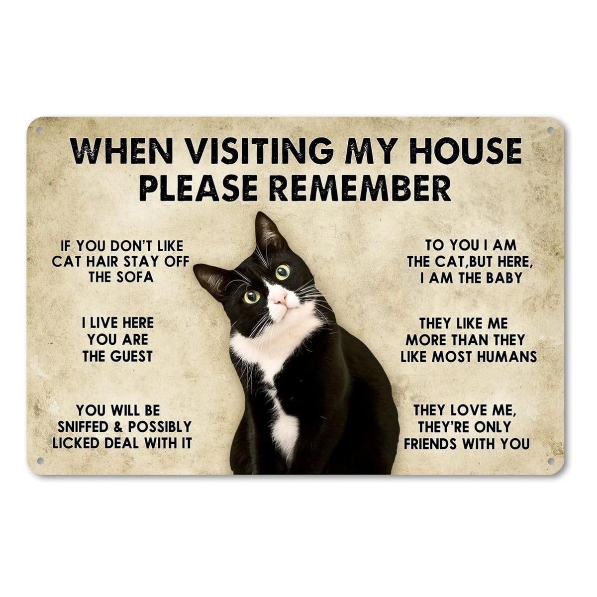 Cat House Humor Funny Aluminum Sign — product artwork