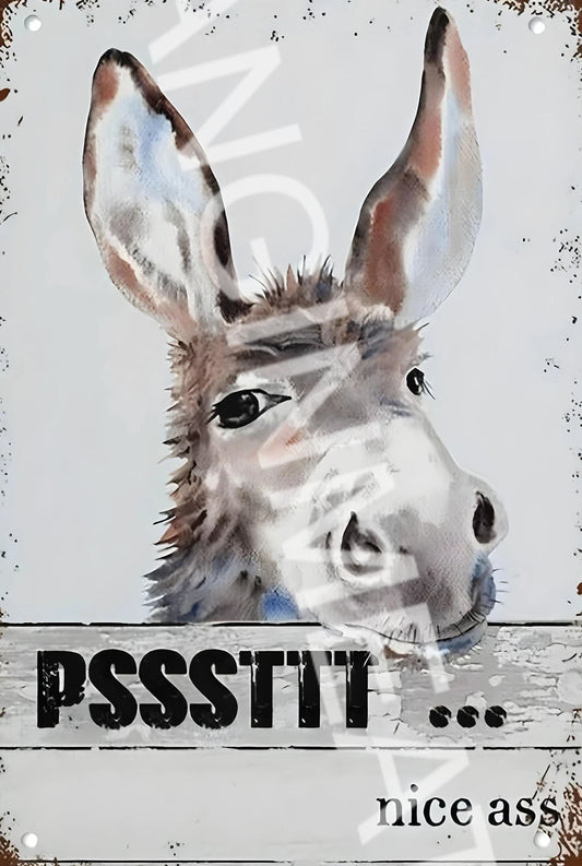 Funny Pssst Nice Aluminum Sign — product artwork