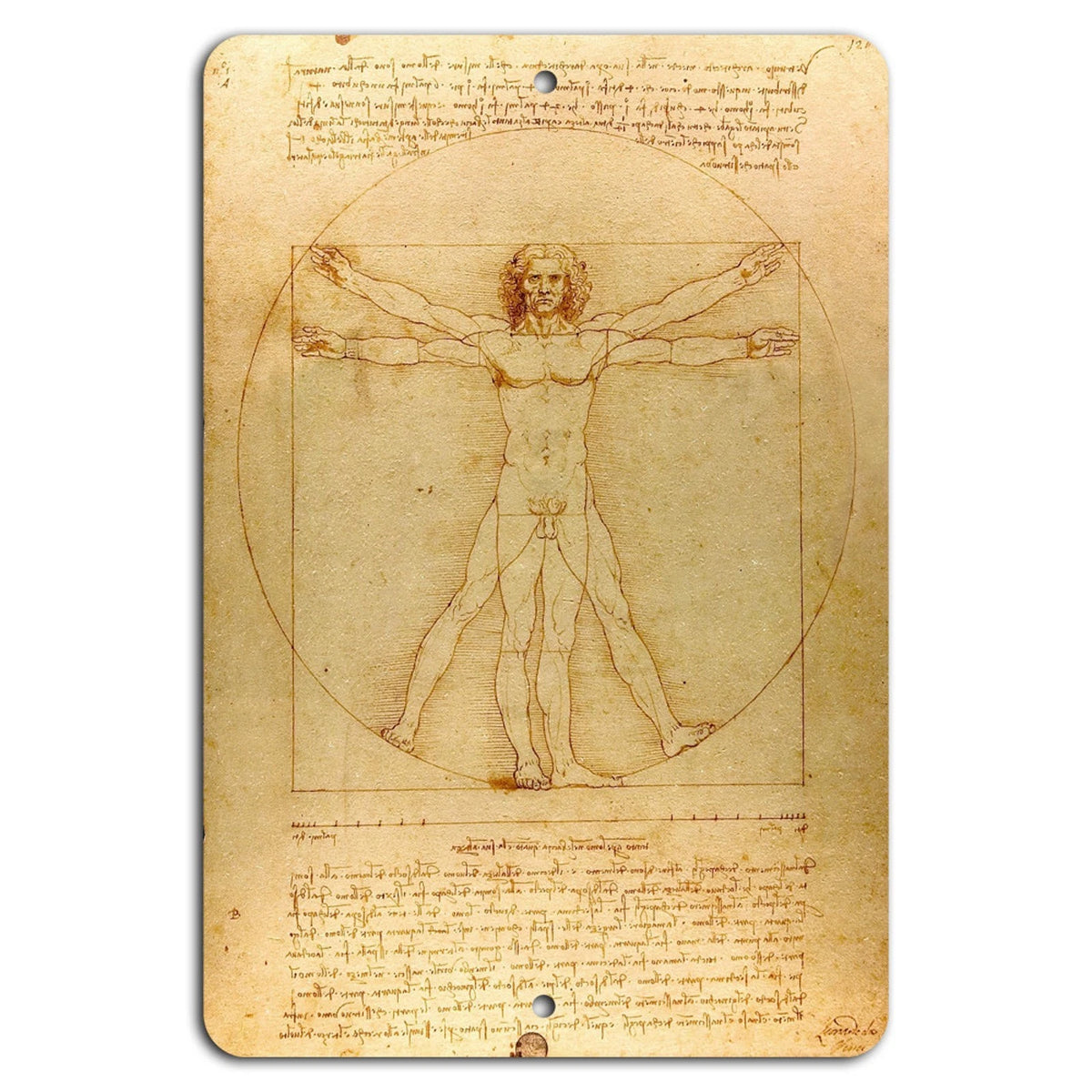 Vitruvian Man Art Renaissance Decorative Aluminum Sign — product artwork
