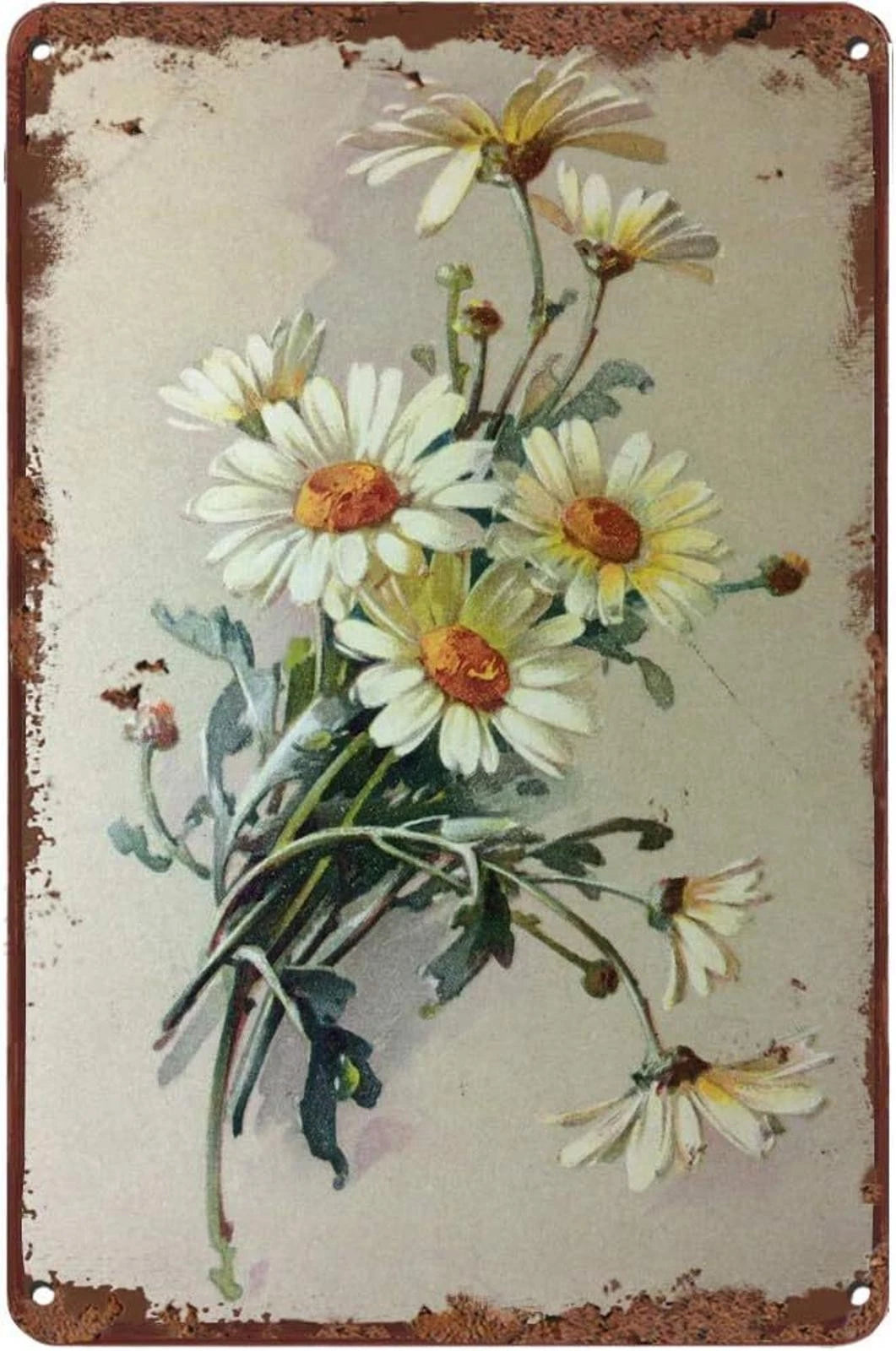 Vintage White Daisy Dew Drop Funny Aluminum Sign — product artwork