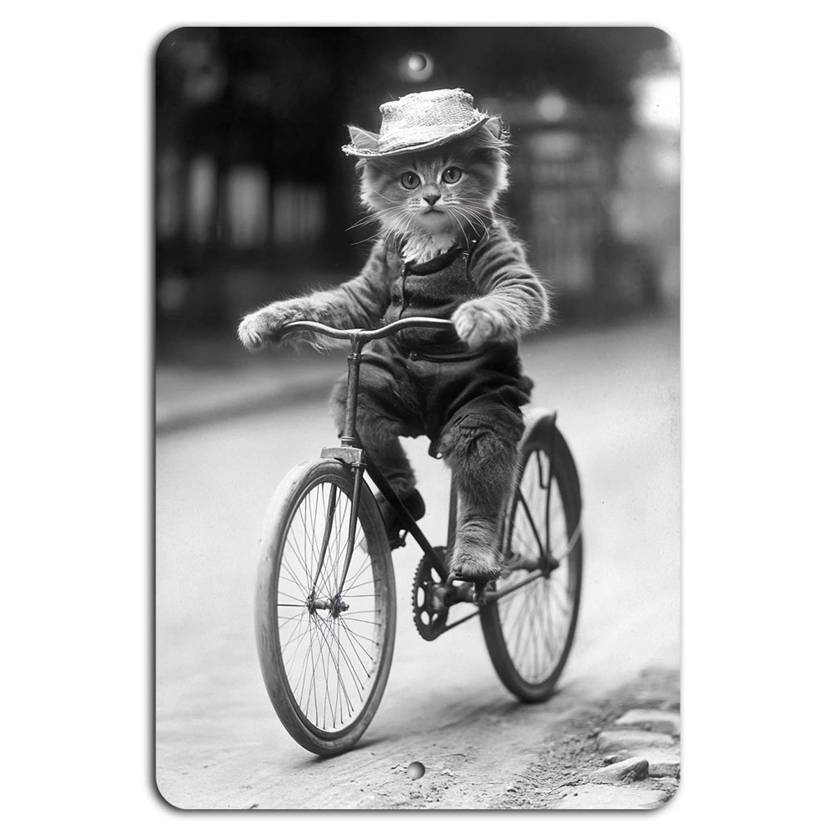 Retro Feline Cyclist Humor Aluminum Sign — product artwork
