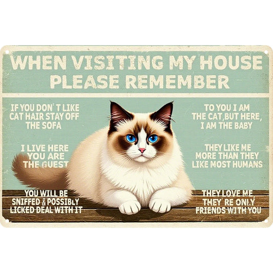Cat Themed Funny Ragdoll Image Decorative Aluminum Sign — product artwork