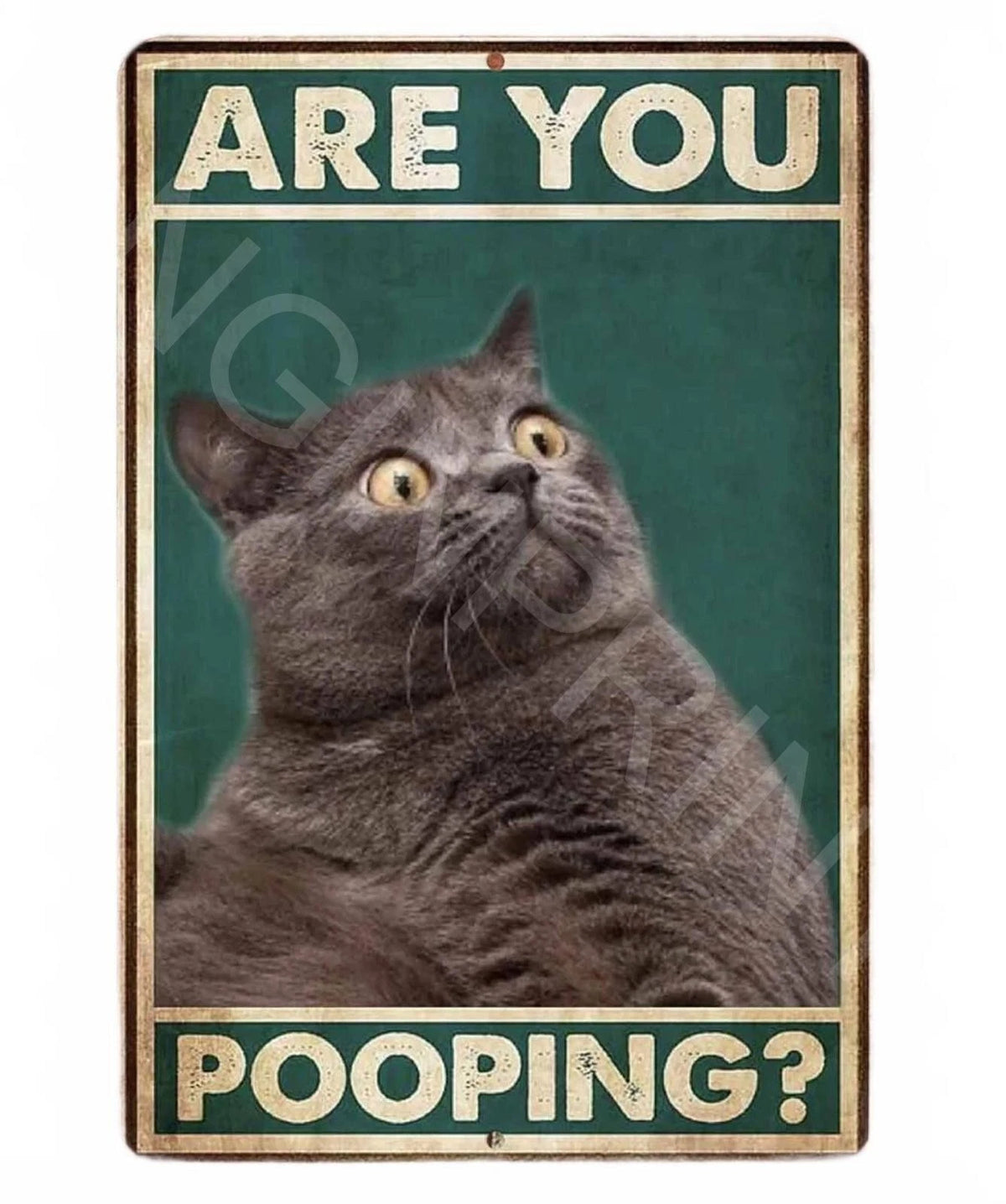 Funny Bathroom Are You Pooping Cat Aluminum Sign — product artwork