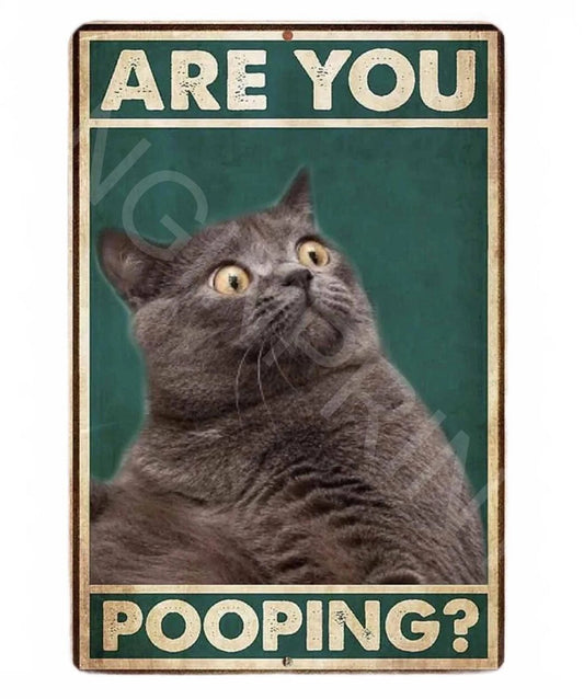 Funny Bathroom Are You Pooping Cat Aluminum Sign — product artwork
