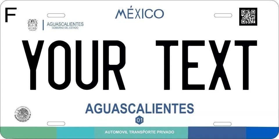 Aquascalientes 2017 Personalized Replica License Plate — product artwork