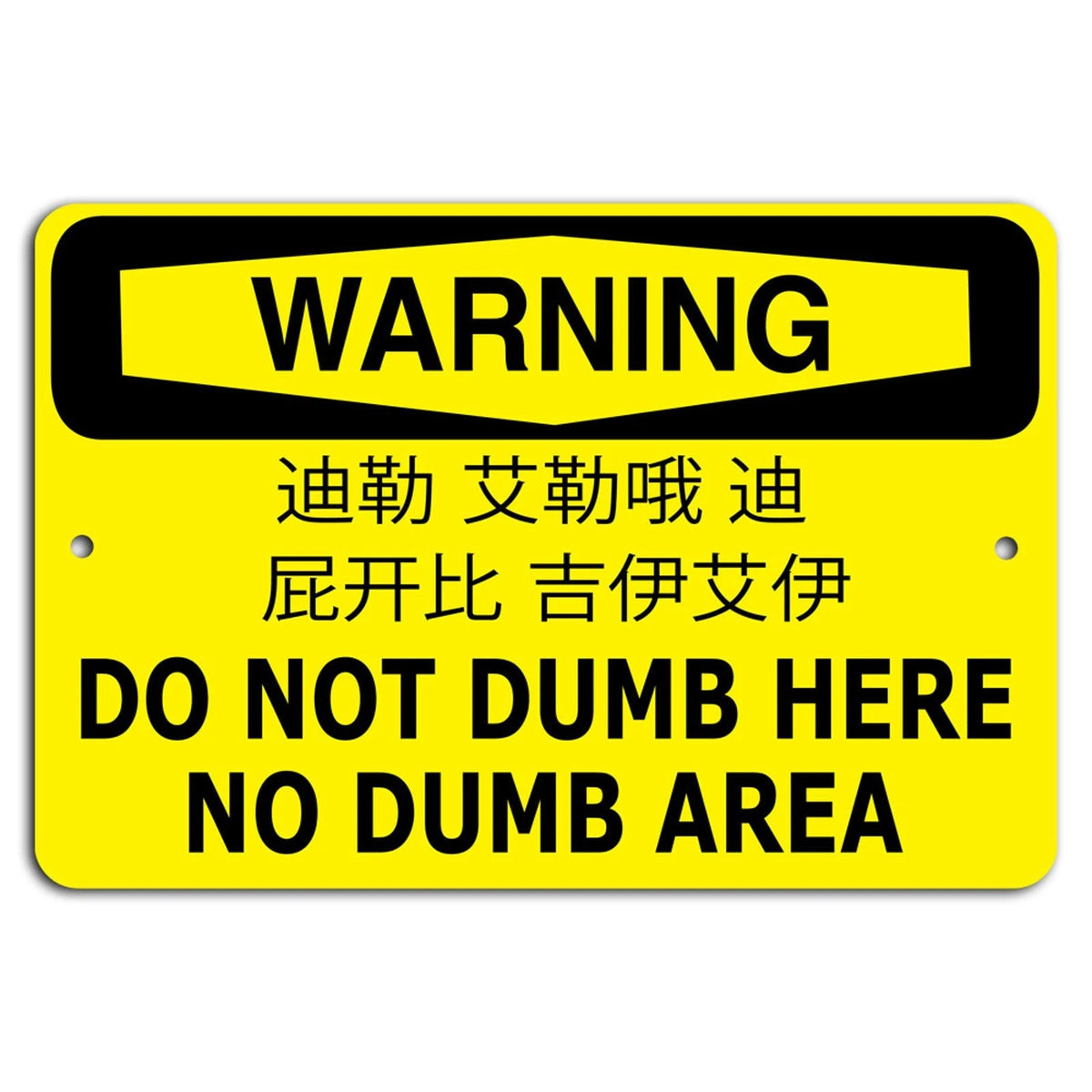 No Dumb People Beyond This Point Warning Aluminum Sign — product artwork
