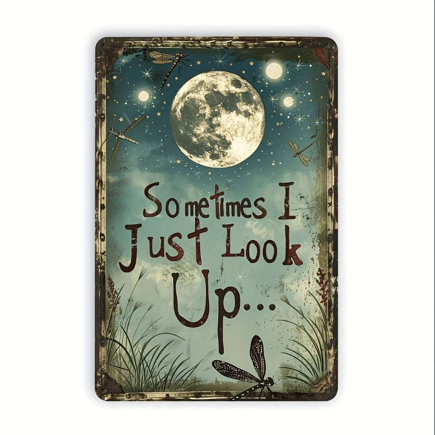 Dragonfly Moon Vintage Funny Rustic Aluminum Sign — product artwork