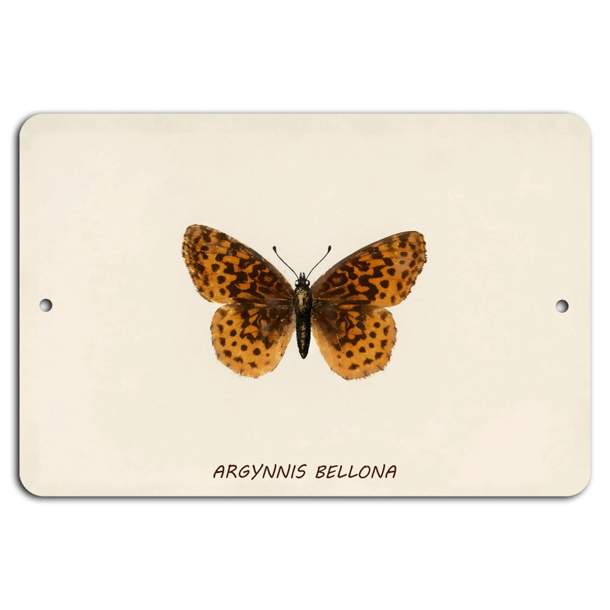 Argynnis Bellona Art Nature Inspired Aluminum Sign — product artwork