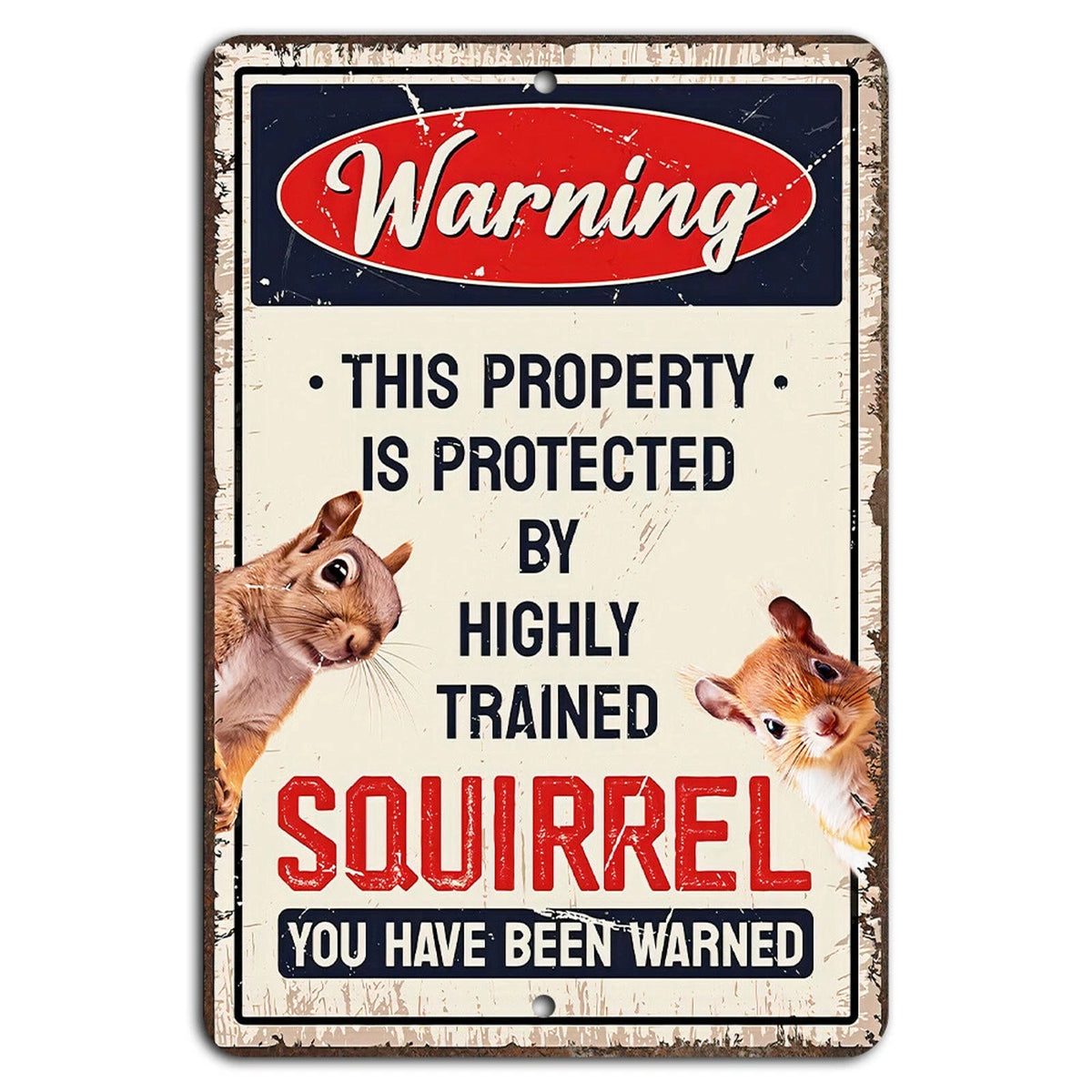 Funny Squirrel Decorative Warning Aluminum Sign — product artwork