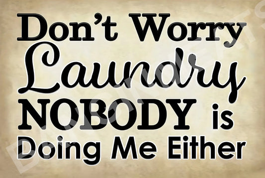 Do Not Worry Laundry Nobody Is Doing Me Either Aluminum Sign — product artwork