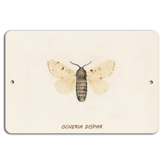 Ocnerya Dispar Handmade Contemporary Aluminum Sign — product artwork