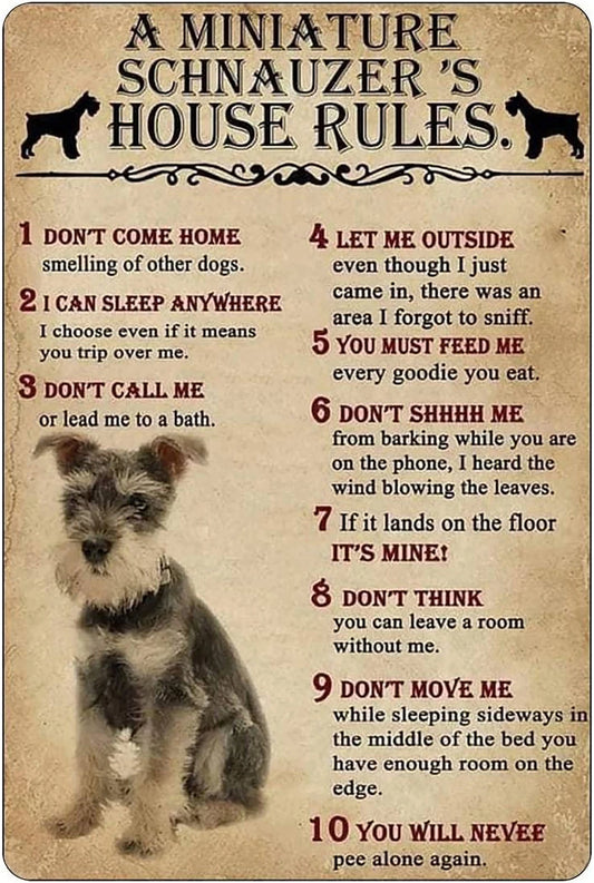 Miniature Schnauzer's House Rules Funny Aluminum Sign — product artwork